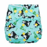 Trial Reusable Nappy