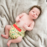 Bundle of 10 Newborn Cloth Nappies